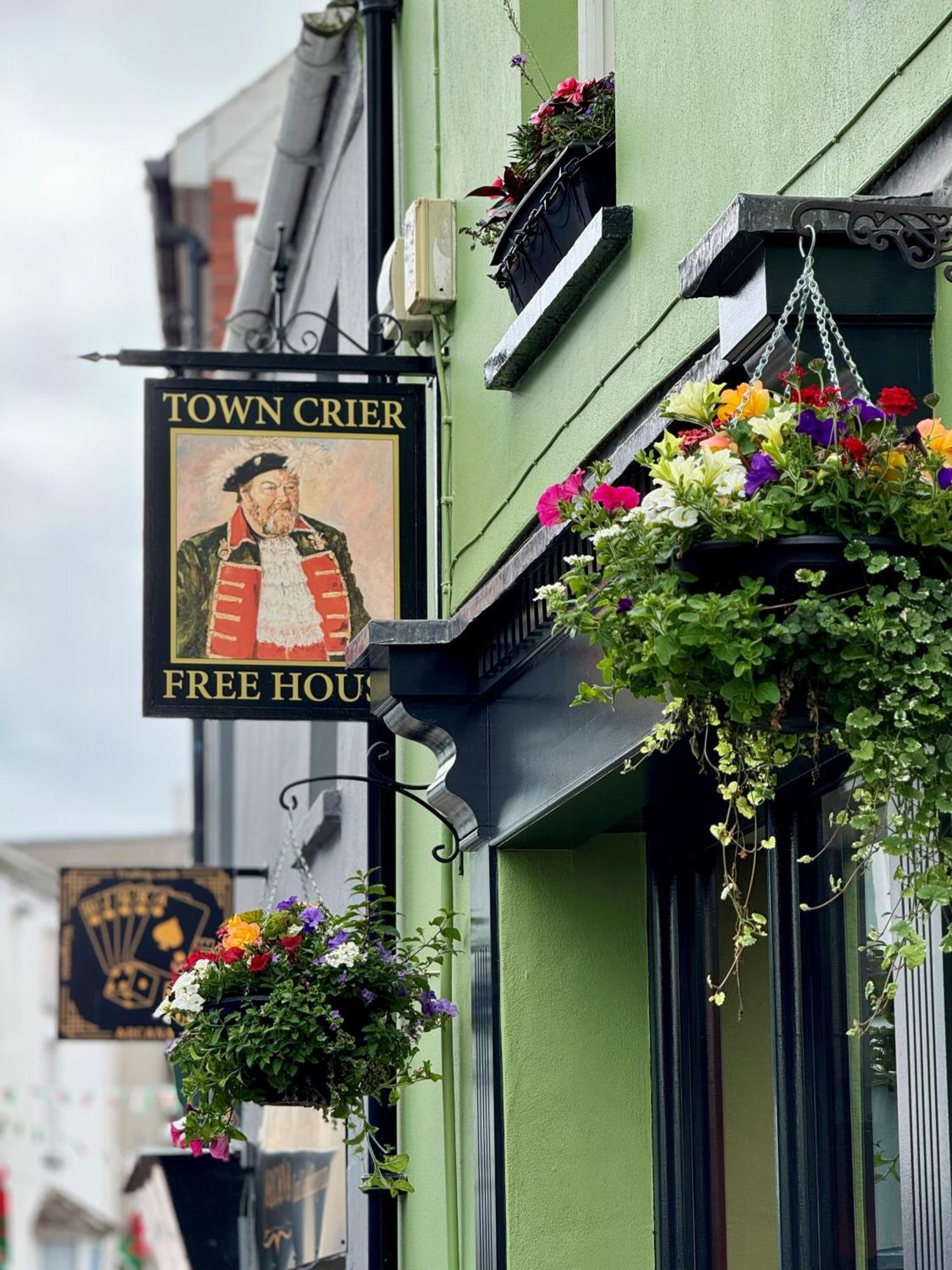 The Town Crier, تينبي المظهر الخارجي الصورة